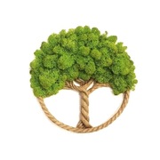 Drzewko Szczęścia Chrobotek, żywy obraz, handmade, dekoracja na ścianę 30