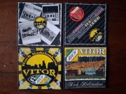 Vlepki Ruch Radzionków Vitor #2