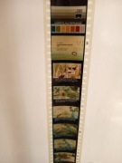 Królewna Głogu cz.1,2 Bajka Bajki na Rzutnik Bajek projektor Ania, Jacek 