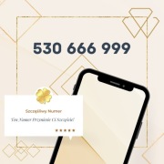 Szczęśliwy Złoty Numer 530 666 999