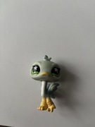 Littlest pet shop ptak