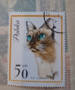 Znaczek pocztowy kot syjamski