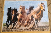Puzzle ułożone 1000el 68x48cm stado konie RADOM