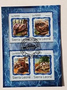 (789) blok z żółwiami 