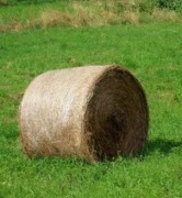 Sprzedam siano w balotach