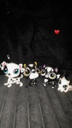littlest pet shop oryginalne