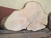 5 JESION 118/66/11 cm Blat Plaster Drewna Stolik Żywica Epoxy DIY Live Edge