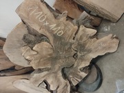 Orzech, korzen, 5 lat sezonowane