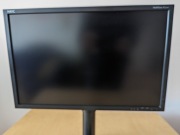 Monitor LCD NEC P221W