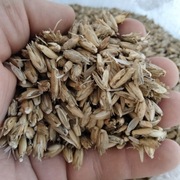 Łuska orkiszowa ekologiczna 