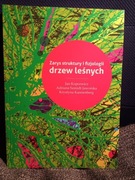 Zarys struktury i fizjologii drzew leśnych Jan Kopcewicz 