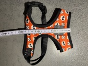 Szelki dla psa, kota, królika, fretki.