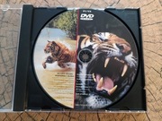 Natural Killers Drapieżniki z bliska - film DVD