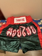 Spodenki Thaiboxing L