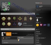 Konto CS2 Prime | 18 Odznak | Zweryfikowany FACEIT | 4500H