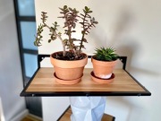 Kwietnik wiszący / półka / styl loft