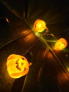 Lampki na halloween, dynie 