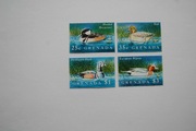 Grenada Sw 2904-07** kaczkowate
