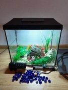 Zestaw Aquael  Leddy 40XL Gotowe akwarium