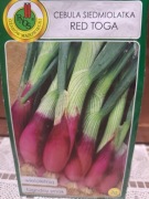 Cebula siedmiolatka 'Red Toga'