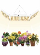 lampa LED SPF8000 PRO 800W do uprawy roślin