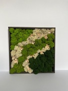 Obraz z mchu „Pure Palette”