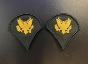 Naszywka - US Army - Specialist 4 E-4 (Green/Gold) SPC - para