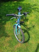 Rower Cadex Flower 24' rama 15,5