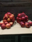 Jabłka Prince i Supra 