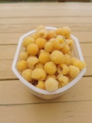 Malina żółta sadzonki