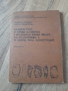 Osadnictwo z epoki kamienia i wczesnej epoki brązu na stanowisku 1 w Sośni