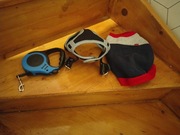 Szelki i ubranko dla szczeniaka