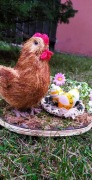 Kurka z różowymi kwiatkami i pisankami, Wielkanoc, handmade, święta