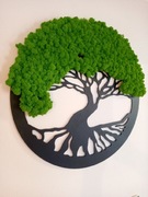 Drzewko Życia. Mech Chrobotek 60cm. Prezent.Dekoracja wnętrz 