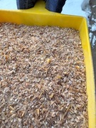 NATURALNA KARMA ŚRUTA PASZA DLA KUR NIOSEK DO ZIEMNIAKÓW- 20 KG