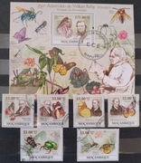 Fauna zwierzęta owady motyle Mozambik