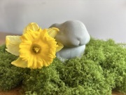 Figurka dekoracyjna Zając / Królik