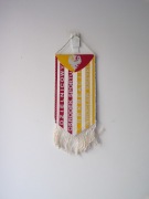 DZIELNICOWY OŚRODEK SPORTU I REKREACJI WROCŁAW KRZYKI