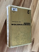 Szosa Wołokołamska Aleksader Bek