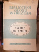 W. Katajew Samotny biały żagiel