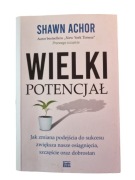 Shawn Achor Wielki potencjał
