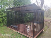 *Kojce ,kojec ,klatki, klatka dla psów 3mx3!