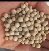 Pasza dla drobiu  karma dla ryb