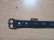 Obroża dla psa z gwiazdkami