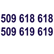 Złota Para 509 618 618_509 619 619