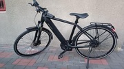 Rower elektryczny RIESSE & MULLER Roadster
