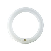 ŚWIETLÓWKA KOŁOWA 40W/840 G10Q 4000K PHILIPS