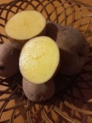 Ziemniaki ekologiczne z certyfikatem Bellarosa 15 kg