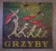 Grzyby Jan Brzechwa Wydanie 1 1986