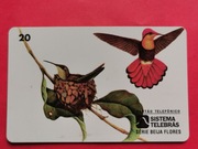 BRAZYLIA  /  STARA  /     -  Karta telefoniczna  /  PTAKI